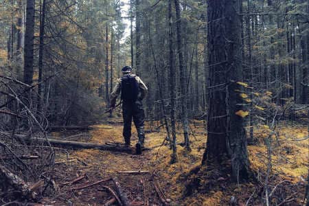 Купить диплом Егеря, лесника в Северодвинске